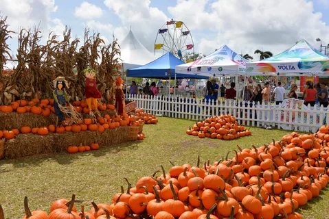 Dunkin Fall Festival: A Celebration of Autumn Delights in 2024